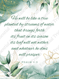 Like a Tree Planted – Psalm 1:3 Wall Art